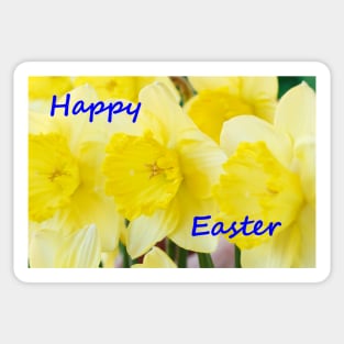 Narcissus  'Saint Patrick's Day'   Daffodil with Happy Easter message Sticker